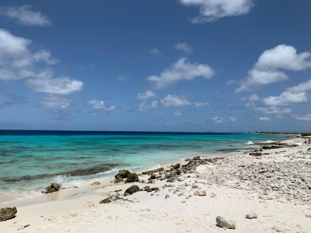 Salt Apartments Bonaire Kralendijk  Exterior photo